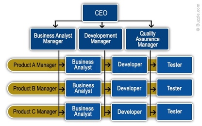 Mas Organisation Chart 2018